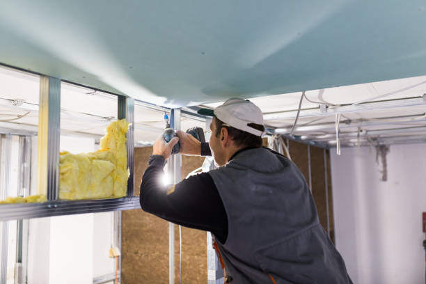 Best Eco-Friendly Insulation in Mequon, WI